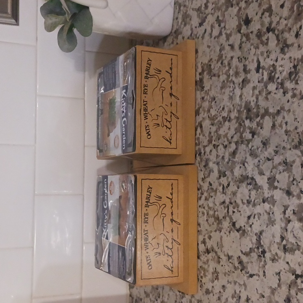 Kitty's Garden Set Of Two Wooden Planter Boxes